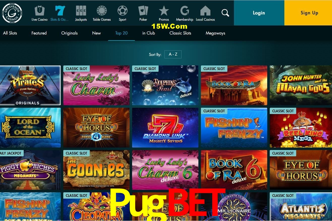 Responsive Design Pugbet