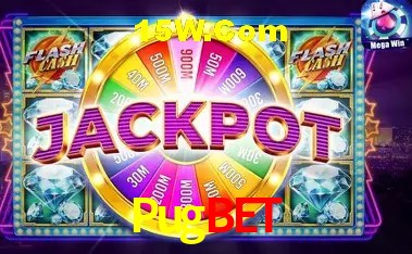 Pugbet Rio de Janeiro - Licenses