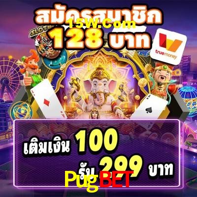 Security Systems Pugbet