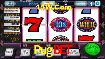 Pugbet Belo Horizonte - Payments