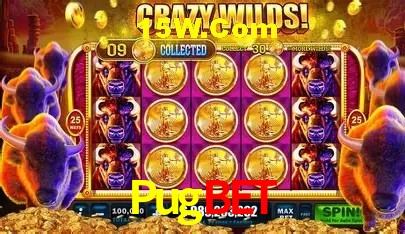 Pugbet Salvador - Football