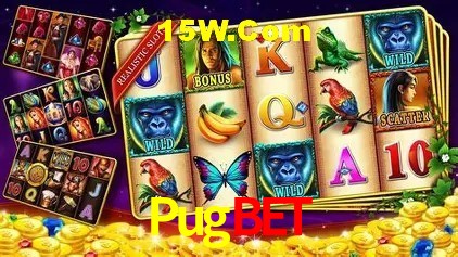 Pugbet Belo Horizonte - Winners
