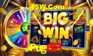 Pugbet Curitiba - Statistics